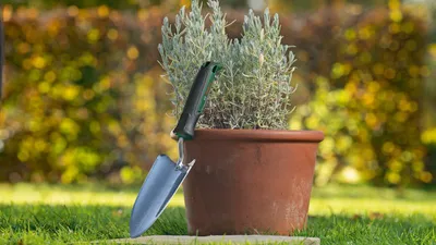 Produktbild von Handwerkzeuge Pflanzkelle