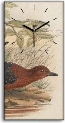 Produktbild von Leinwand Wanduhr Wandkunst Uhr Quarz 30x60 Vögel Wild Tiere Zeichnung Kunst - schwarze Hände