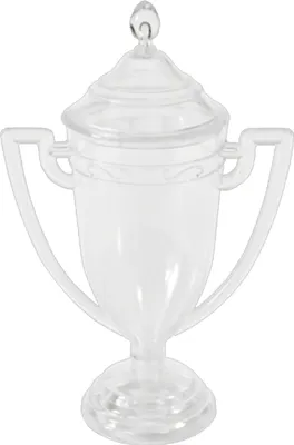 Immagine prodotto di Regalo per gli ospiti Coppa contenitore a forma di coppa del vincitore 11,7 cm - taglia unica
