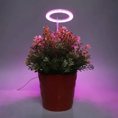 Produktbild von Vollspektrum LED Pflanzenlampe Dimmbar Ring Pflanzenlicht Gewächshaus Wachstumslampe mit Timer