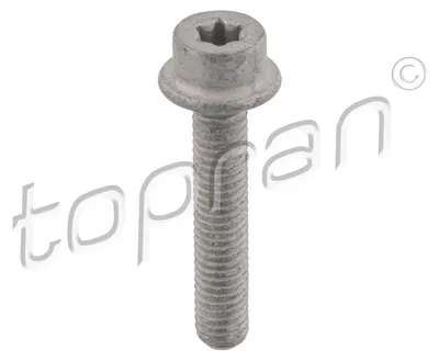 Obrázok produktu pre Skrutka TOPRAN 411 097, 38,7 mm