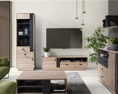 Produktbild von Wohnzimmermöbel-Set mit Kommode, Lowboard & Vitrine in Eiche Nb., modern 5-teilig ANTIGUA-133