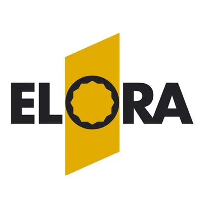 Produktbild von Elora Schraubendreherbit 5/16", B&S-XZN, ELORA-3130-XZN 10