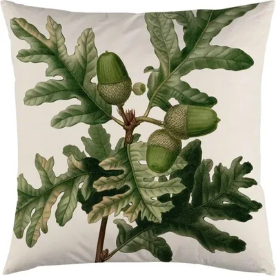 Obrázek produktu pro Povlak na polštář 50x50cm - Žaludy