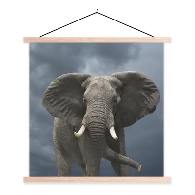 Produktbild von MuchoWow® Textilposter Elefant - Wolken - Tiere - Natur 60x60 cm mit holzfarbenen Rahmen - Wanddekoration
