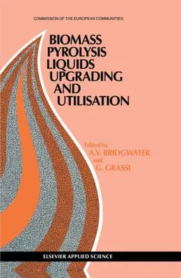Produktbild von Biomass Pyrolysis Liquids Upgrading and Utilization