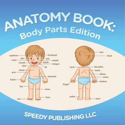 Produktbild von Anatomy Book