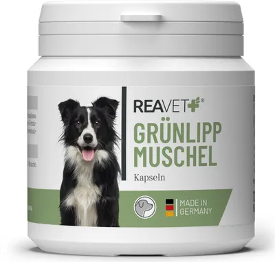 Produktbild von REAVET Grünlippmuschel Kapseln 100 Stück Hund hochdosiert - Gelenktabletten für Hunde mit Grünlippmuschelpulver in Vollfettqualität 10,2%, Grünlippmuschelextrakt für Gelenke