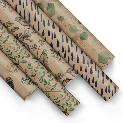 Immagine prodotto di Carta da regalo PAW, 200 x 70 cm, 5 rotoli - Colore naturale