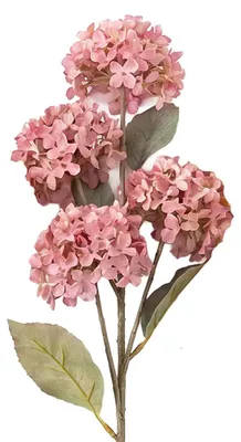 Produktbild von Clayre & Eef Kunstblume Rosa Kunststoff