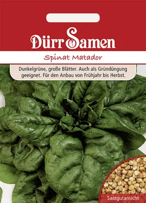 Produktbild von Dürr-Samen - Spinat Matador - Saatgut - 0043