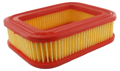 Image de Filtre à Air Adaptable Castelgarden - Stiga Pour Modèle Mountfield Rsc100. Remplace Origine 118550748/0.