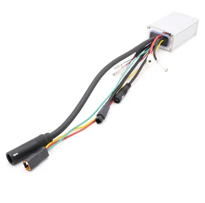 Obrázok produktu pre Bafang | Riadiaca jednotka CR A101.C pre 36V 250W motory pre systémy CAN, Sinus E-Bike Pedelec