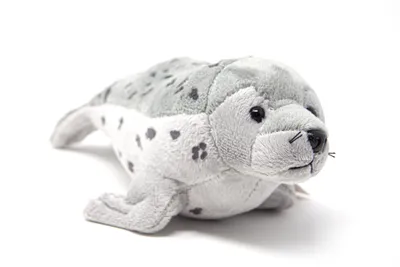 Image de Cornelissen - Doudou - phoque - 25 cm