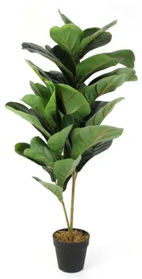 Obrázek produktu pro Květina v květináči – umělá rostlina Ficus, 98 cm