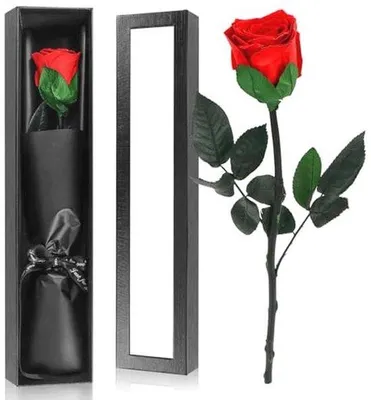 Produktbild von Unendliche Rose Geschenkbox - Echte Rose in Geschenkverpackung - Perfektes Geschenk für Frauen