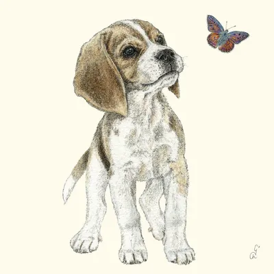 Produktbild von 20 Servietten Jean - Kleiner, neugieriger Hund 33x33cm
