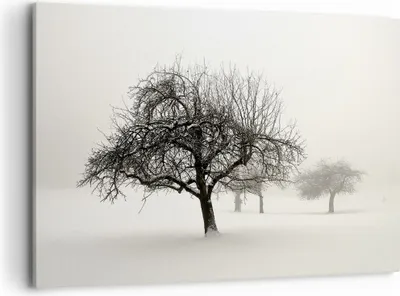 Produktbild von Bild auf Leinwand - Leinwandbild - Einteilig - Bäume Schnee Nebel - 100x70cm - Wand Bild - Wanddeko - Wandbilder - Leinwanddruck - Bilder - Wanddekoration - Leinwand bilder - Wandbild - AA100x70-4136