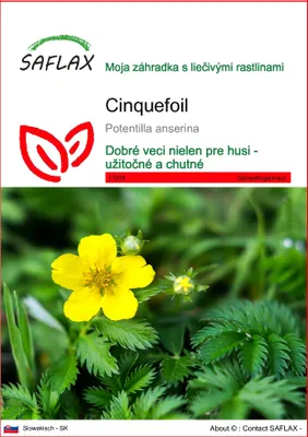 Obrázok produktu pre SAFLAX - cinquefoil - Potentilla anserina - 20 Semená