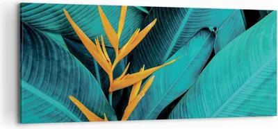 Produktbild von Bild auf Leinwand - Leinwandbild - Einteilig - Blumen Tropen Blätter - 120x50cm - Wand Bild - Wanddeko - Wandbilder - Leinwanddruck - Bilder - Wanddekoration - Leinwand bilder - AB120x50-5116