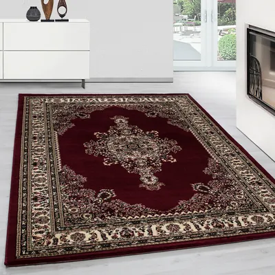 Produktbild von Teppium Klassischer Orientteppich - Orientalisches Design mit Ornamenten für Wohnzimmer & Schlafzimmer Grösse 240x340 cm