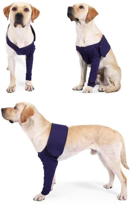 Produktbild von Elleboogpads für Hunde - Komfortabel und atmungsaktiv - Groß - Nach Operation - Hundeszubehör