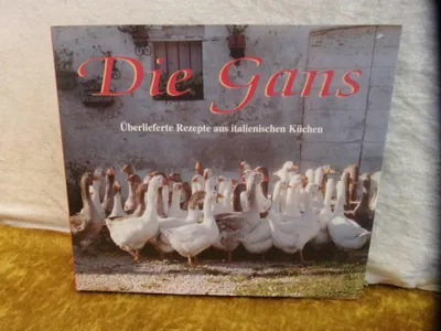 Produktbild von Die Gans | Germano Pontoni