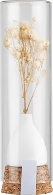 Produktbild von Geschenkblume in Glas weiß