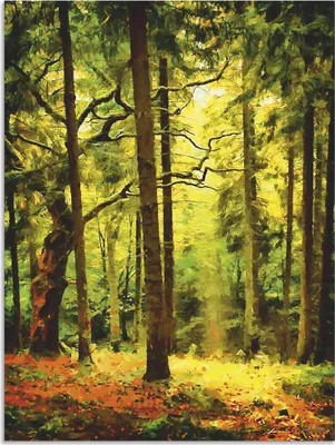 Produktbild von ARTland Wandbild Alu für Innen & Outdoor Wald II Größe: 45x60 cm