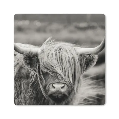 Produktbild von MuchoWow® Mauspad Mousepad Schottischer Highlander - Kuh - Tiere - Schwarz-Weiß - Ländlich 20x20 cm - Mousepads - Maus Mat - Pad - Mausunterlage - Desk Mat - Bureauartikeln