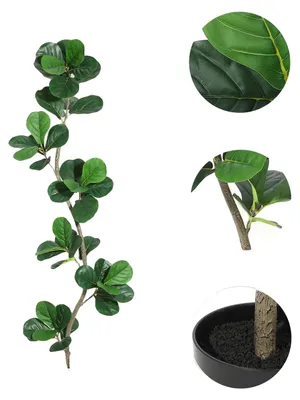 Produktbild von Künstlicher Geigenfeigenbaum, lebensechtes Design, Innen- und Außendekoration, 180cm
