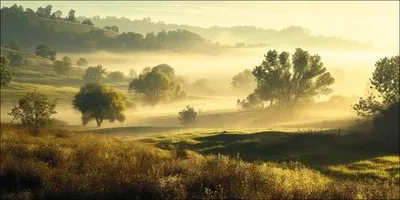 Produktbild von Leinwandbild Landscape In The Morning Mist I 100x50 cm