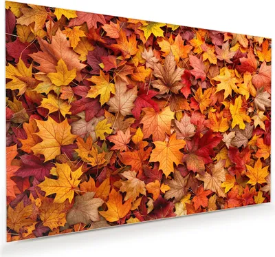 Produktbild von Glasbild 75x50cm in XXL für Wohnzimmer, Schlafzimmer Motiv Herbstlaub