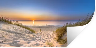 Produktbild von MuchoWow® Wandtattoo Wandsticker Wandaufkleber Düne - Sonnenuntergang - Horizont - Strand - Gras 120x60 cm Selbstklebend und Repositionierbar - Sticker - Dekorfolie