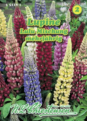 Produktbild von Lupine Lulu Mischung  | Lupinensamen von N.L. Chrestensen