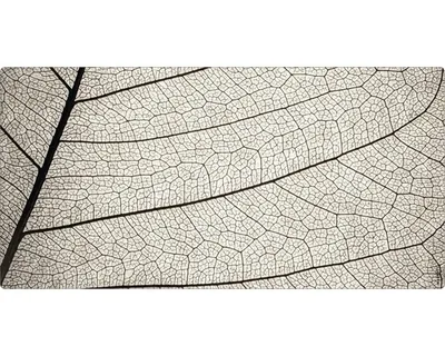 Produktbild von mySPOTTI Badrückwand aqua Struktur 90x45 cm