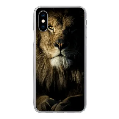 Produktbild von MuchoWow® Handyhülle Schutzhülle Hülle für iPhone X Löwe - Licht - Schwarz Silikon Softcase Handy Hülle - Handyhülle