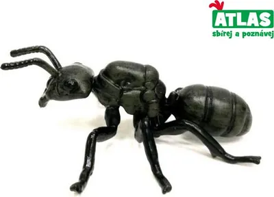 Obrázok produktu pre A - Figúrka mravca lesklá čierna 9 cm