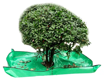 Produktbild von Baumschnittplane, wasserdichte Gartenplane, Trimmplane mit 30,5 cm Löchern und Eckschnallen, faltbare Umtopfmatte für Pflanzen, Strauchtrimmplane