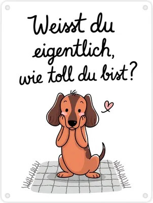 Produktbild von Niedlicher Dackel - Du bist toll Metallschild in 15x20 cm