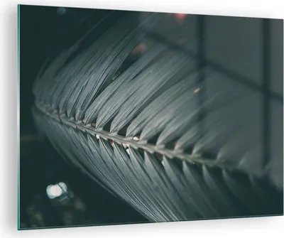 Produktbild von Bilder auf glas - Einteilig - Blatt Palme exotisch - 70x50cm - Glasbilder - Wandbilder - Bilder - zum Aufhängen bereit - Wanddekoration aus Glas - Glas Bilder - Wandbild auf Glas - GAA70x50-4907