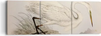 Produktbild von Bild auf Leinwand - Leinwandbild - 3 Teile - Vogel Weiß Reiher - 90x30cm - Wand Bild - Wanddeko - Wandbilder - Leinwanddruck - Bilder - Wanddekoration - Leinwand bilder - Wandbild - CA90x30-4979