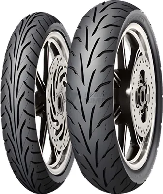 Immagine prodotto di Pneumatici Dunlop Arrowmax GT601 150/70-17 69H TL hinten