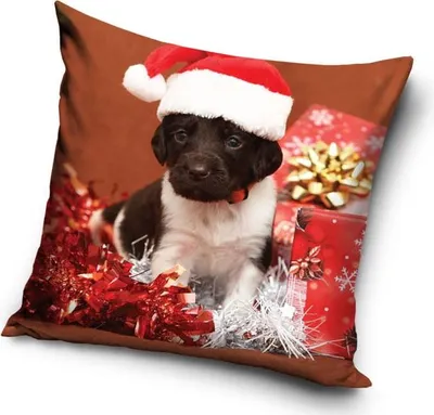 Immagine prodotto di Copricuscino natalizio 40x40 Velvet Dog