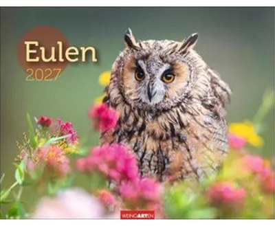Obrázok produktu pre Kalendár sov 2027