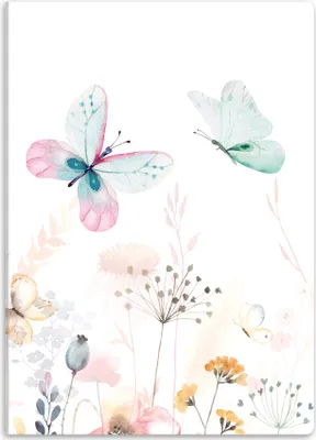 Produktbild von itenga Sichtbuch Motiv Schmetterling