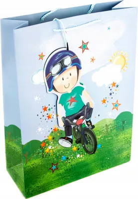 Zdjęcie produktu dla Torba Prezentowa Dla Chłopca 31X42Cm Różne Kolory