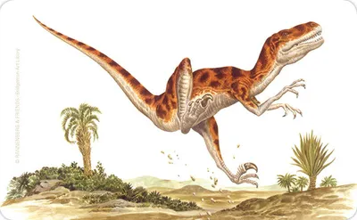 Produktbild von Frühstücksbrettchen Noasaurier, Dinosaurier aus der Kreidezeit, Brettchen 23x14cm, Dinos
