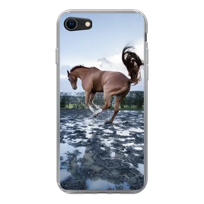 Produktbild von MuchoWow® Handyhülle Schutzhülle Hülle für iPhone 8 Ein bockendes Pferd in den Pfützen Silikon Softcase Handy Hülle - Schutzhaube