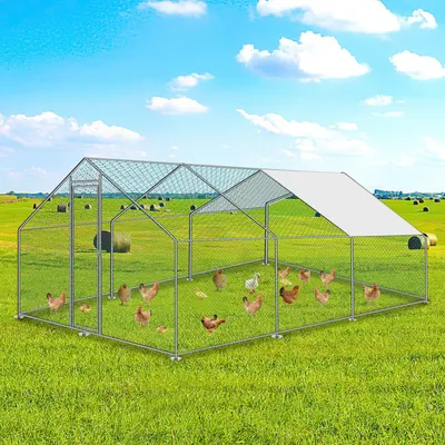 Immagine prodotto di Jayseuw pollaio all'aperto grande tetto pollaio ruspante recinto avicolo con telaio in acciaio zincato PE e porta con serratura 3 x 6 x 2 m